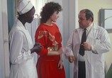 Фильм Да здравствует тюлень! / W la foca (1982) - cцена 3
