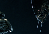 Фильм Чужой против Хищника / Alien vs. Predator (2004) - cцена 2