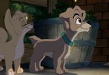 Мультфильм Леди и Бродяга 2: Приключения Шалуна / Lady and the Tramp II: Scamp's Adventure (2001) - cцена 5