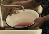 Фильм Линч / Lincz (2010) - cцена 1