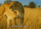 ТВ Серенгети / Serengeti (2019) - cцена 3