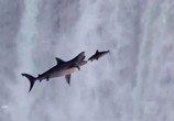 Фильм Акулий торнадо 4: Пробуждение / Sharknado 4: The 4th Awakens (2016) - cцена 6