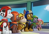 Мультфильм Щенячий патруль: Суперпатруль 2 / Paw Patrol: Ultimate Rescue 2 (2019) - cцена 2
