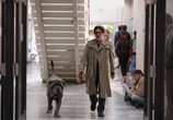 Фильм Моя Собака Идиот / Mon chien Stupide (2020) - cцена 2