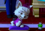 Мультфильм Щенячий патруль: скорей спешим на помощь / Paw Patrol: Ready, Race, Rescue! (2020) - cцена 2