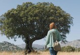 Фильм Восточный ветер 4: Легенда о Воине / Ostwind 4: Aris Ankunft (2019) - cцена 2