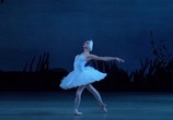 Фильм П.И. Чайковский: Лебединое озеро / Tchaikovsky: Swan Lake (2007) - cцена 1