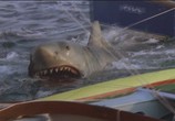 Фильм Челюсти 2 / Jaws 2 (1978) - cцена 2
