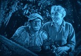 Фильм Затерянный мир / The Lost World (1925) - cцена 4
