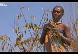 Фильм Вдоль по Окаванго / Into the Okavango (2018) - cцена 3