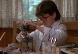 Фильм Дорогая, я уменьшил детей / Honey, I Shrunk the Kids (1989) - cцена 1