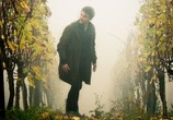 Сериал Вайнберг / Weinberg (2015) - cцена 8