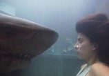 Фильм Глубокое синее море 3 / Deep Blue Sea 3 (2020) - cцена 1