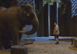 Фильм Мой парень из зоопарка / Zookeeper (2011) - cцена 5
