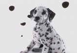 Фильм 102 Далматинца / 102 Dalmatians (2001) - cцена 1