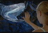 Сериал Н2О: Просто Добавь Воды / H2O: Just add water (2006) - cцена 5