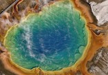 ТВ Йеллоустоун. Битва за жизнь / Yellowstone - Battle For Life (2009) - cцена 4