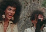 Фильм 9 смертей ниндзя / Nine Deaths of the Ninja (1985) - cцена 2