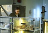 Сериал Хемлок Гроув / Hemlock Grove (2013) - cцена 2