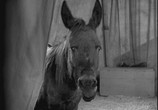 Фильм Цирк / The Circus (1928) - cцена 3