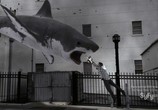Фильм Акулий торнадо / Sharknado (2013) - cцена 5