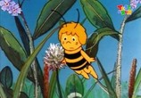 Мультфильм Пчёлка Майя / Mitsubachi Maya no boken (1975) - cцена 4