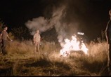 Фильм Собаки / Câini (2016) - cцена 8